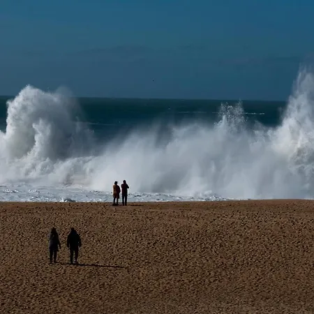 Donacamo Charming House Apartment Nazaré